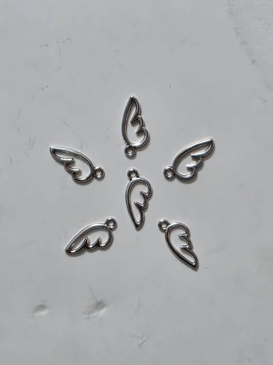 Wing charms